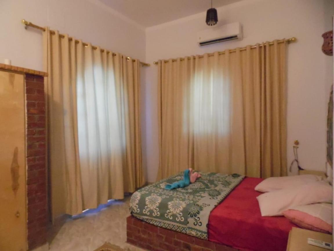 Appartement Nour House à Louxor Extérieur photo
